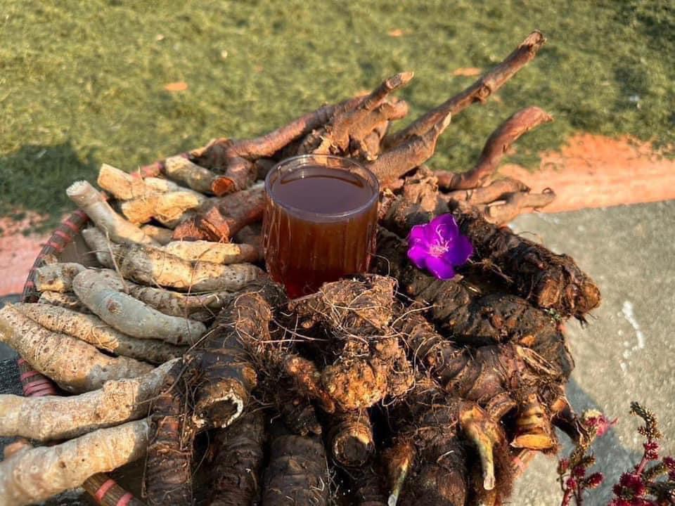 luong-y-nguyen-thi-thai