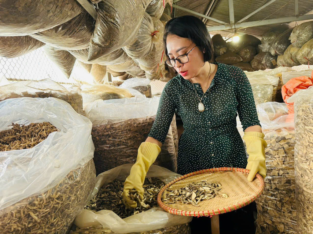 luong y nguyen thi thai